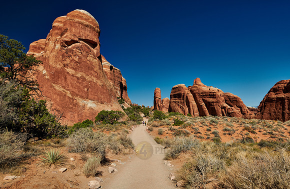 Arches National Park