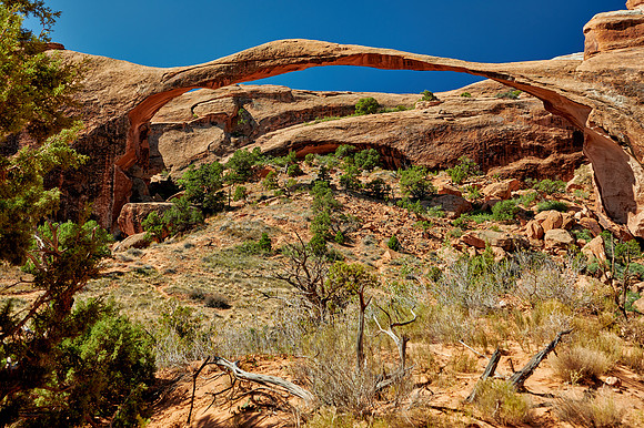 Landscape Arch in Arches National Park