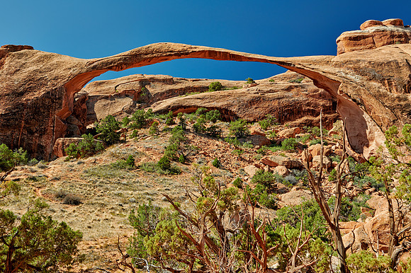 Landscape Arch in Arches National Park