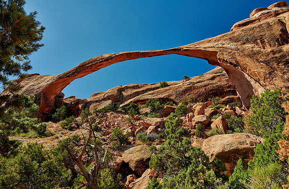 Landscape Arch in Arches National Park
