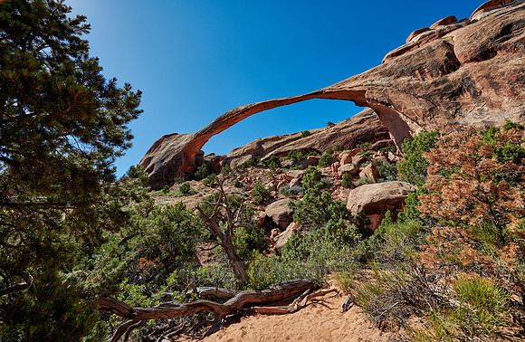 Landscape Arch in Arches National Park