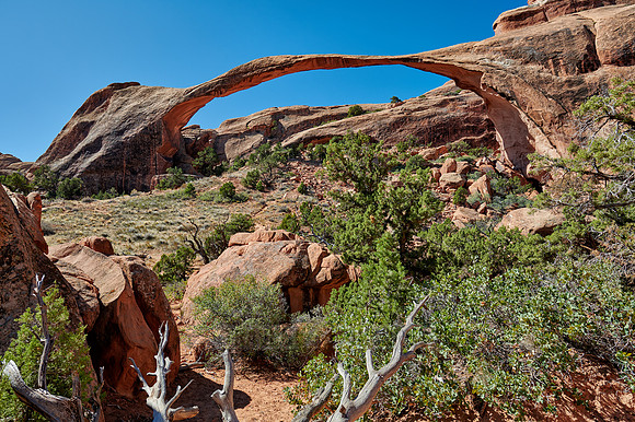 Landscape Arch in Arches National Park