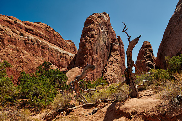 Arches National Park