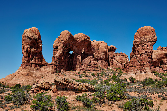 Parade of Elephants, Arches National Park