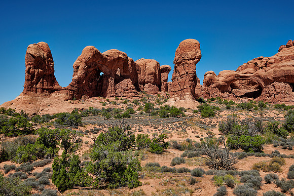 Parade of Elephants, Arches National Park
