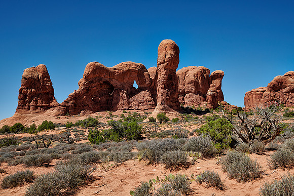 Parade of Elephants, Arches National Park