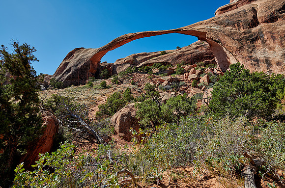 Landscape Arch in Arches National Park
