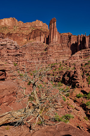 Fisher Towers