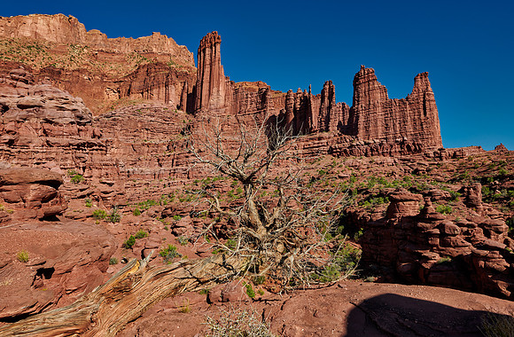 Fisher Towers