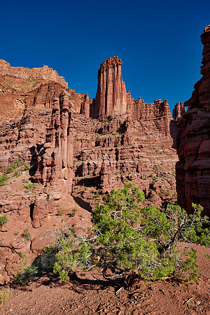Fisher Towers