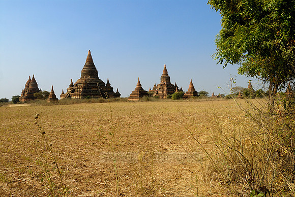 pagodas in the plain