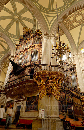 organ in Catedral Metropolitana