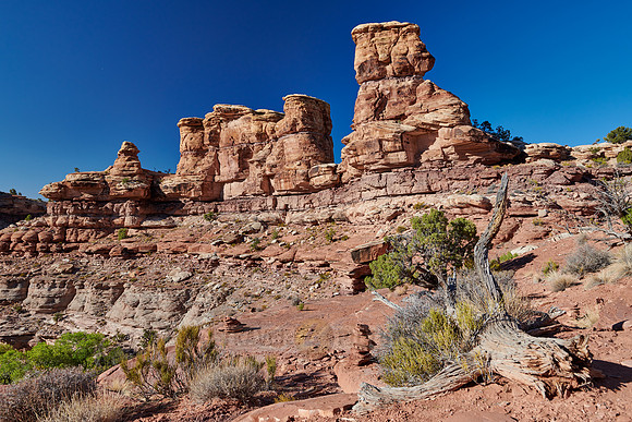 Needles District in  Canyonlands-National Park