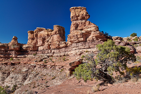 Needles District in  Canyonlands National Park