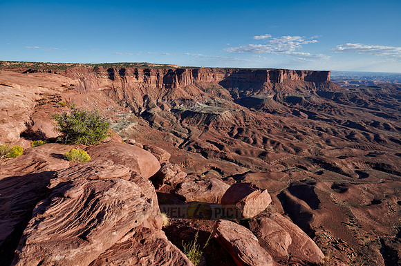 Green River Overlook in Canyonlands National Park