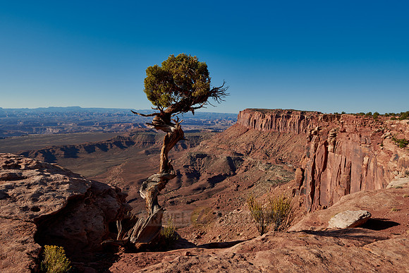 Grandview Point in Canyonlands National Park, Island in the Sky