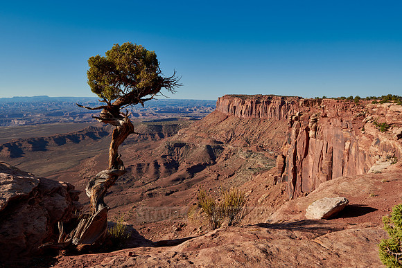 Grandview Point in Canyonlands National Park, Island in the Sky