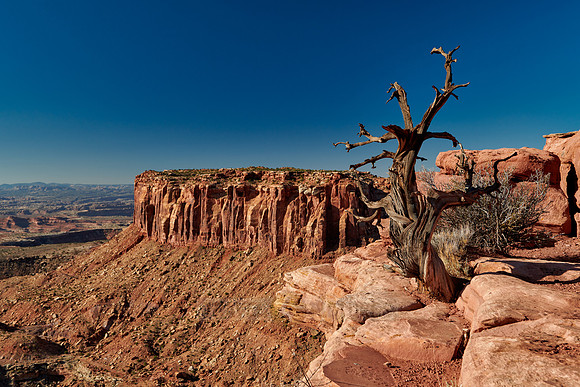 Grandview Point in Canyonlands National Park, Island in the Sky