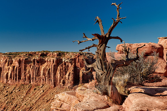 Grandview Point in Canyonlands National Park, Island in the Sky
