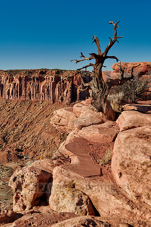 Grandview Point in Canyonlands National Park, Island in the Sky