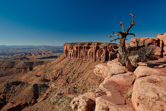Grandview Point in Canyonlands National Park, Island in the Sky