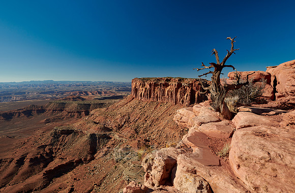 Grandview Point in Canyonlands National Park, Island in the Sky