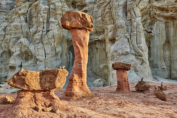 Toadstool Hoodoos