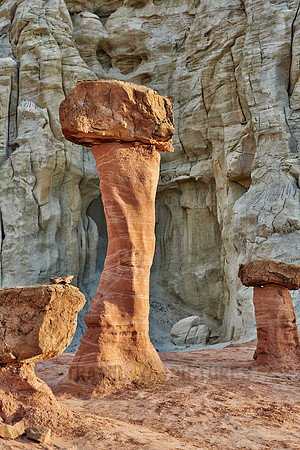 Toadstool Hoodoos