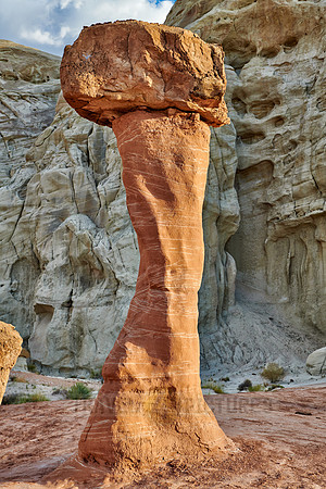 Toadstool Hoodoos