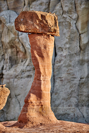Toadstool Hoodoos