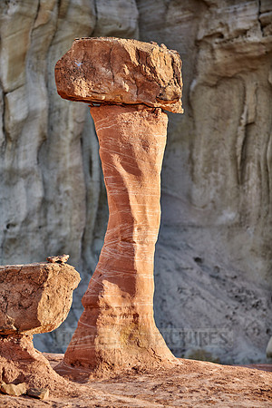Toadstool Hoodoos