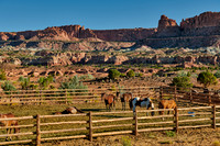 Capitol Reef National Park