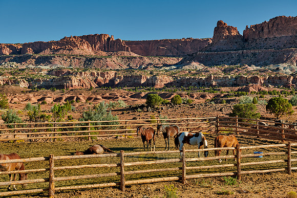 Capitol Reef National Park