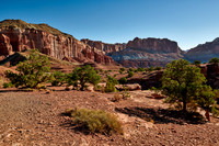 Capitol Reef National Park
