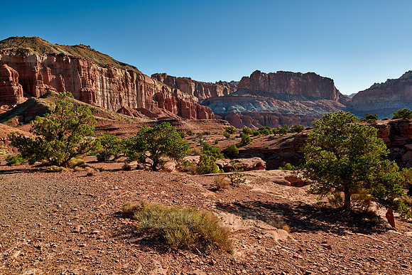 Capitol Reef National Park