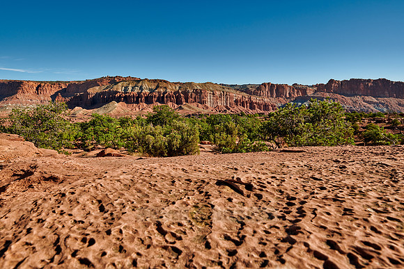 Capitol Reef National Park