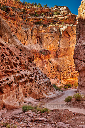 Capitol Reef National Park