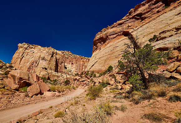 Capitol Reef National Park