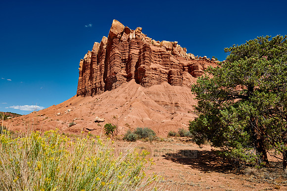 Capitol Reef National Park