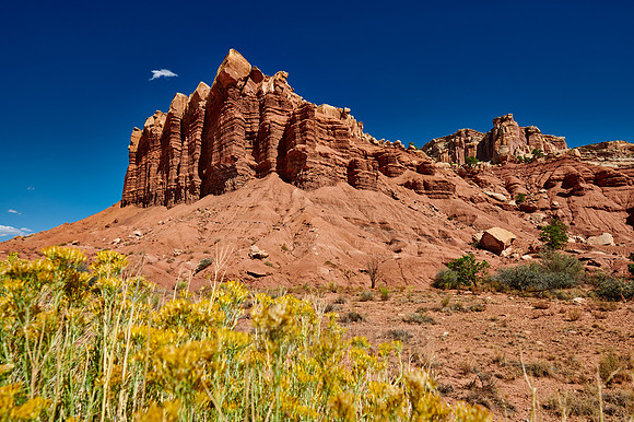 Capitol Reef National Park