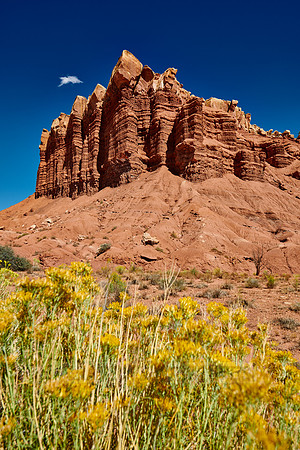 Capitol Reef National Park