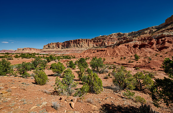 Capitol Reef National Park