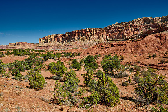 Capitol Reef National Park