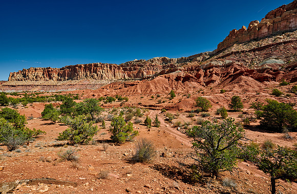 Capitol Reef National Park
