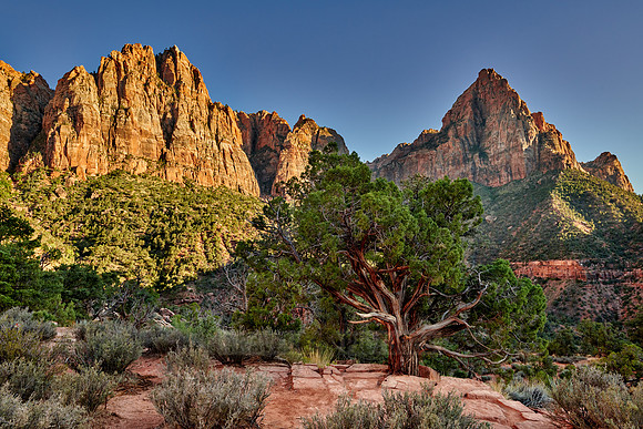 Zion National Park
