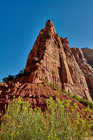 Zion National Park