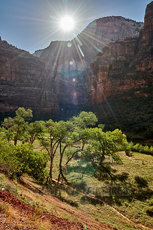 sunrise in Zion National Park