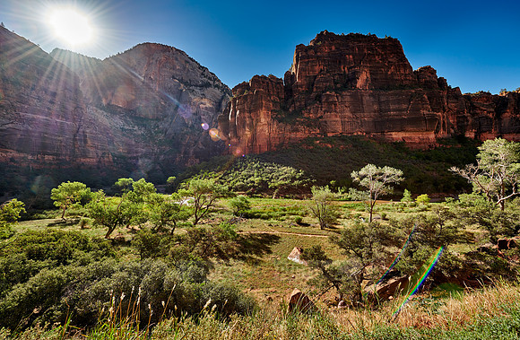 sunrise in Zion National Park