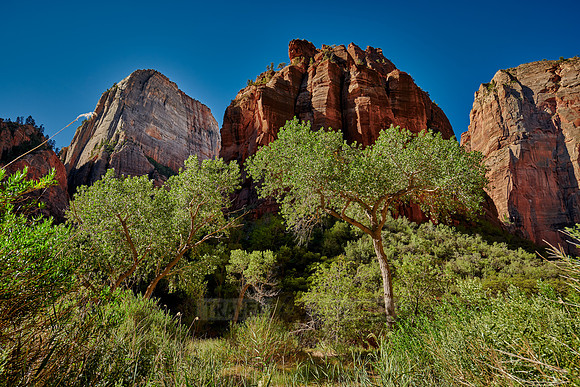 Big Bend of Zion National Park