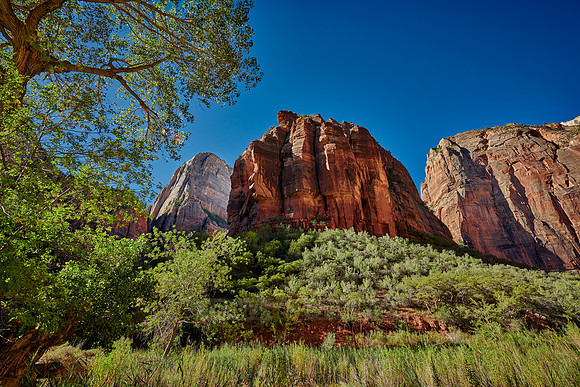 Big Bend of Zion National Park